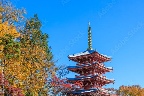 本土寺の五重塔と紅葉した風景