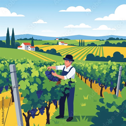 A farmer harvests grapes in a vineyard, with rolling hills and buildings in the background.