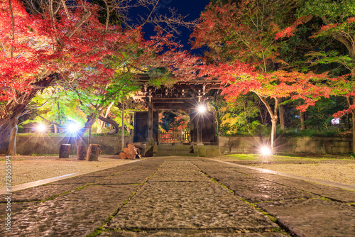 ライトアップされた紅葉と東漸寺の中雀門