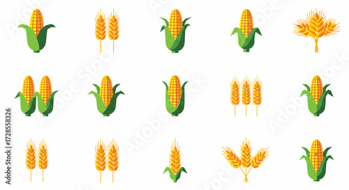 Corn and wheat crops arranged in neat rows against a white backdrop, representing agriculture and harvest season with a clean and organized aesthetic.