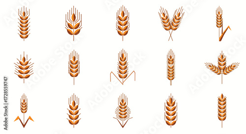 Golden wheat ears representing harvest and agriculture against a white canvas, symbolizing abundance and natural beauty in a minimalist style.