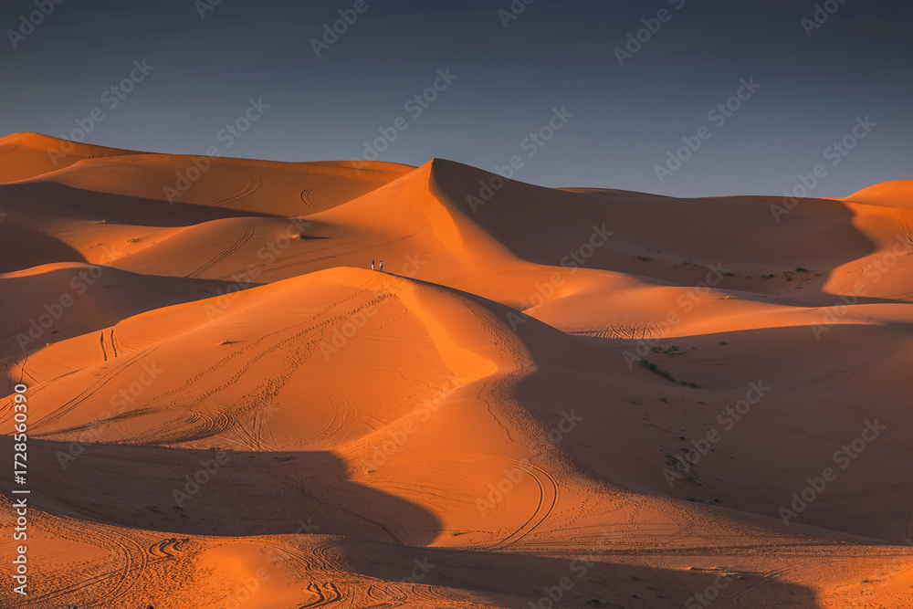 Naklejka premium Golden dunes of the Sahara Desert in Morocco at sunset – scenic sand landscape with waves of dunes and dramatic light in North Africa