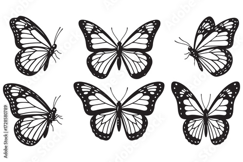 Set of monarch butterfly silhouettes in vector on white background