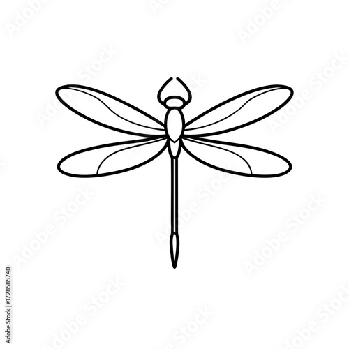Outline drawing dragonfly on transparent background