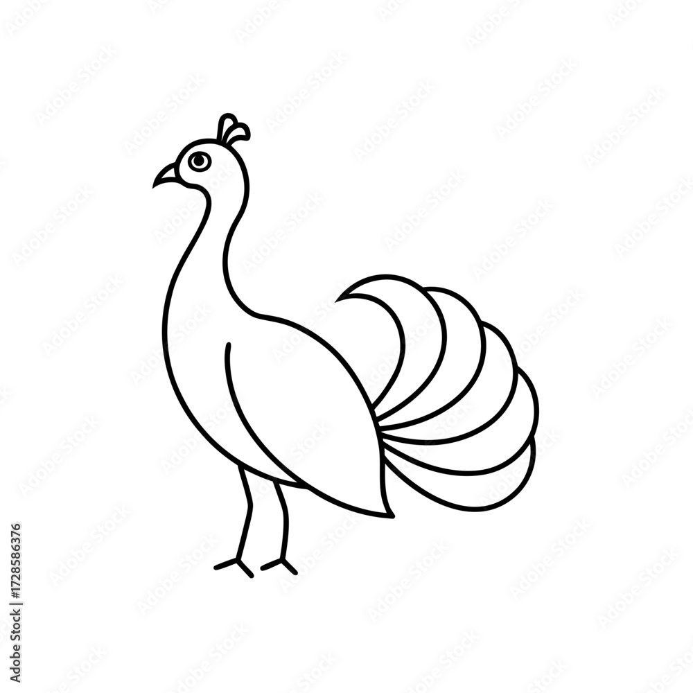 Obraz premium Simple peacock line drawing on transparent background