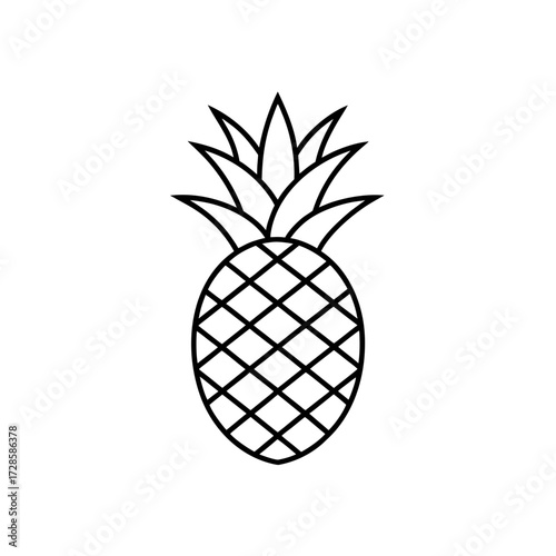 Outline drawing pineapple on transparent background