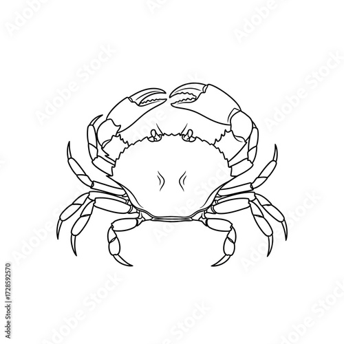 Black and white illustration of a crab with detailed claws and legs, symmetrical design.