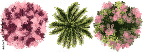three stylized, top-down digital paintings of diverse plants, set against a black background. The assets include a pink flowering tree (likely cherry or plum blossom), a tropical palm or fern, and a m