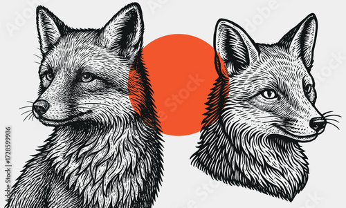 Vintage Foxes Illustration – Black and White Engraved Animals with Orange Circle Accent