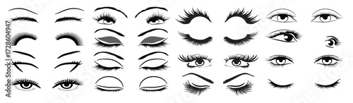 Set of Eyelashes vector illustration