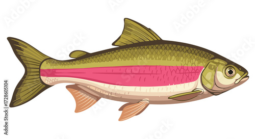 Stylized Digital Painting of a Freshwater Fish, Side Profile, Vibrant Colors, Isolated on White
