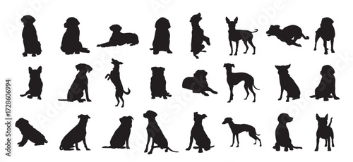 Set of dogs vector illustration