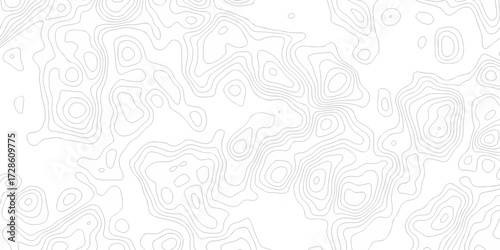 Vector wavy black contour lines topographic grid pattern on white background. Topographic map background with abstract contour line pattern.  Minimal topography design for modern graphics motion wave.