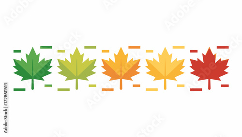 Autumn leaves in various stages of color change against a white background representing seasonal progression and the beauty of natures transition