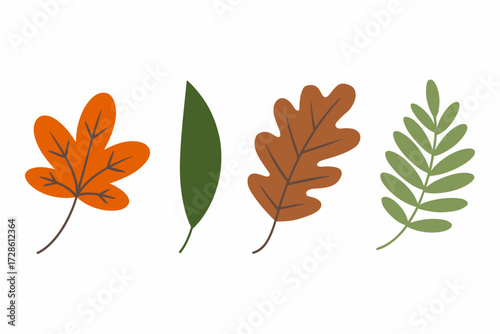 Collection of colorful fall leaves illustration for seasonal designs and nature themed projects ideal for backdrops and decorative elements