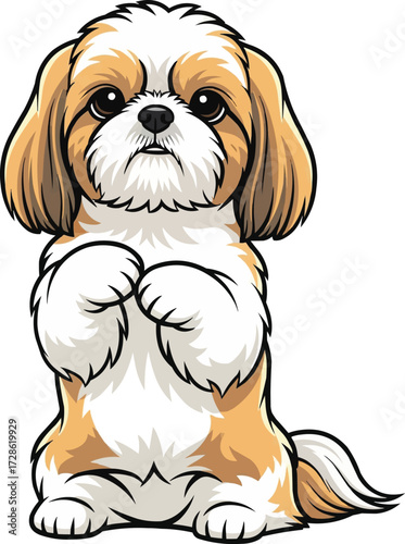 Chinese Imperial Dog standing on hind legs begging pose cute