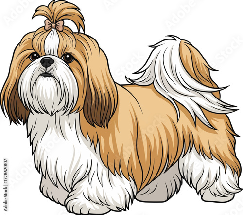 Chinese Imperial Dog walking side view pose vector illustration
