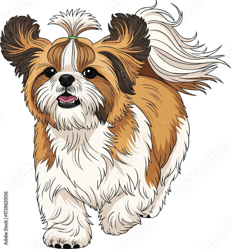Chinese Imperial Dog running cute front view vector illustration