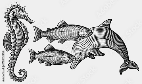 Retro Engraved Illustration of Seahorse and Dolphin in Black Vintage Etching Style