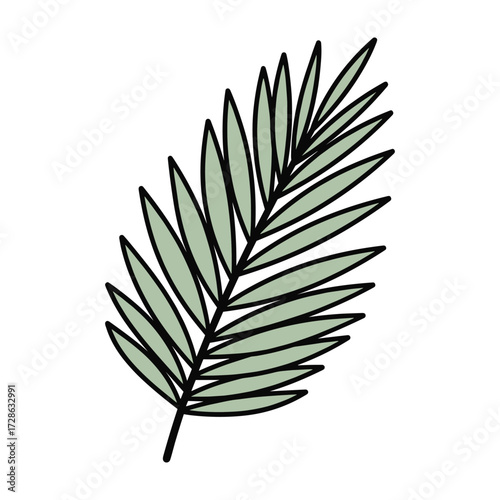 Simple illustration of a pale green palm frond with black outline leaf tropical