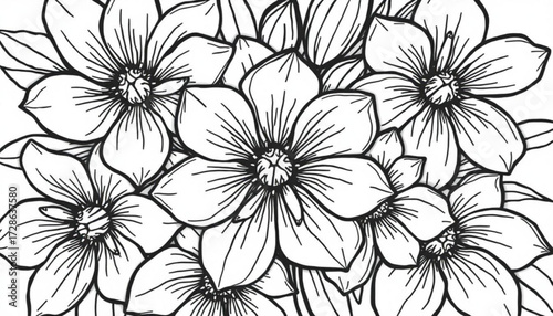 Minimilist detailed line art illustration of a cluster of flowers with prominent petals and central details design vector