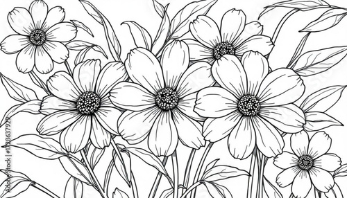 Minimilist detailed line art illustration of several daisy flowers with leaves on a white background design element vector