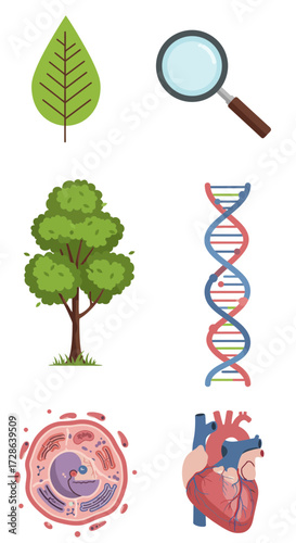 Six icons illustrating biology subjects leaf magnifying glass tree DNA cell and heart