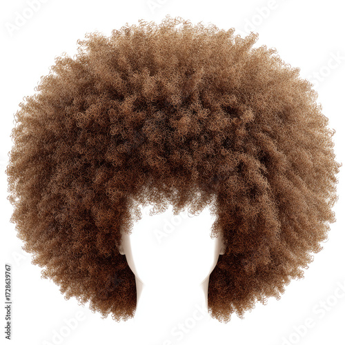 Close-up of a large afro hairstyle
