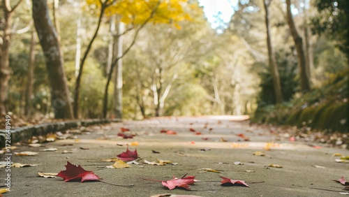 8k wallpaper for mobile and pc	