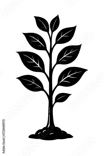 Young Plant Growing from Soil - Nature and Organic Life Vector Illustration