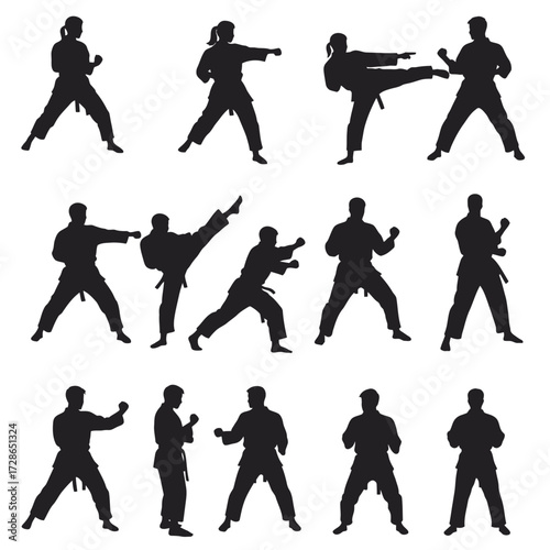 Silhouettes of people practicing martial arts, showing various stances, kicks, and punches.