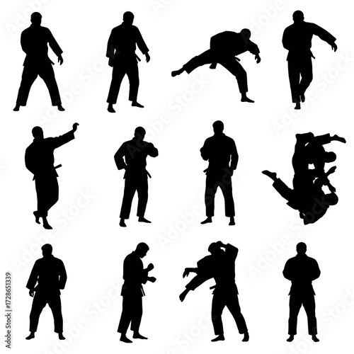 Silhouetted figures demonstrate various martial arts poses and movements against a white background.