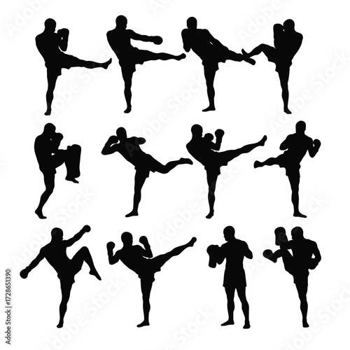 Silhouetted figures demonstrating various martial arts kicks and boxing poses.