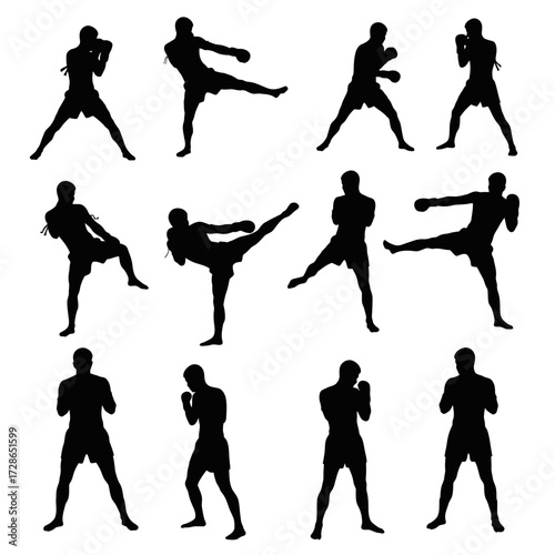 A collection of twelve silhouette illustrations showing a person practicing martial arts, including stances, kicks, and punches.