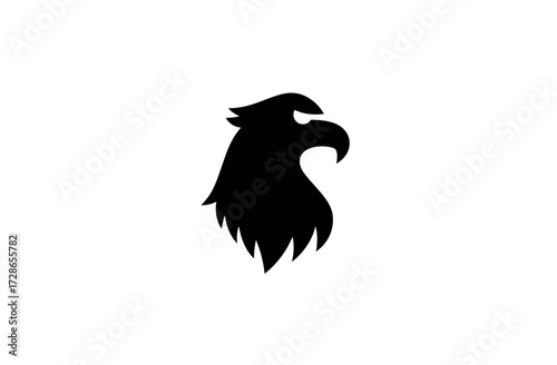 Silhouette of bird of prey