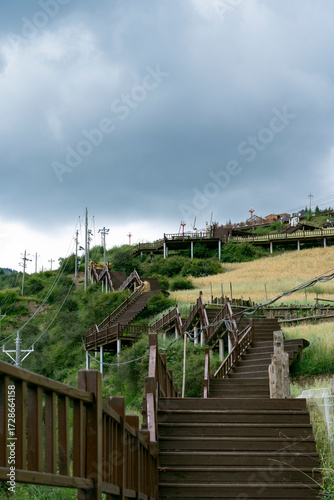 Wooden plank road beside rice fields in green mountains