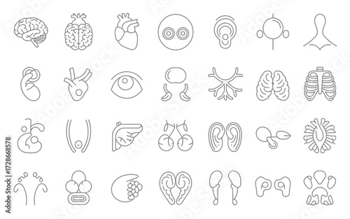 Collection of 28 black and white hand-drawn medical organ illustrations vector set scalable icon silhouette