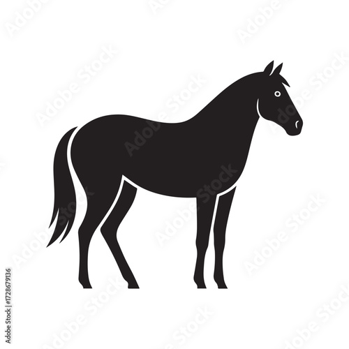 A silhouette vector of a washed horse with clean, well-defined eyes.