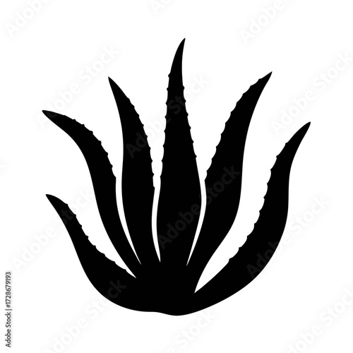 Aloe vera plant silhouette vector graphic for natural medicine and skincare product designs online