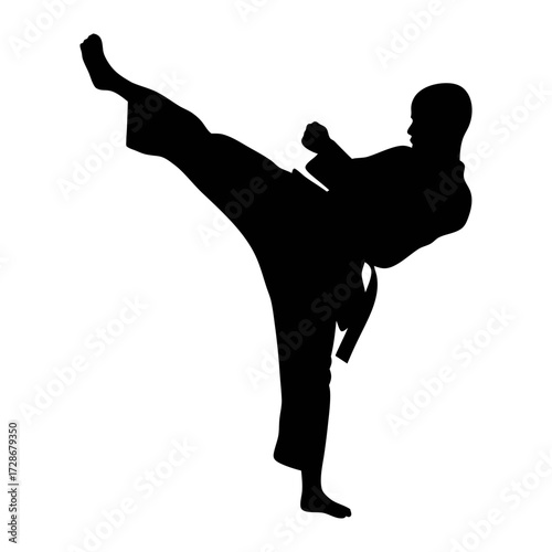 Karate kick silhouette vector image for martial arts training and combat sports illustration design
