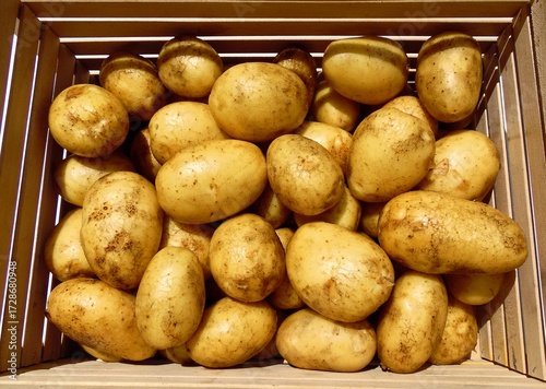 Foto Fresh young organic potatoes in a wooden crate