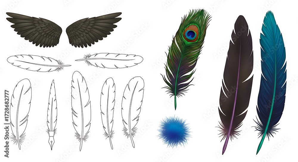 Feather collection illustration
