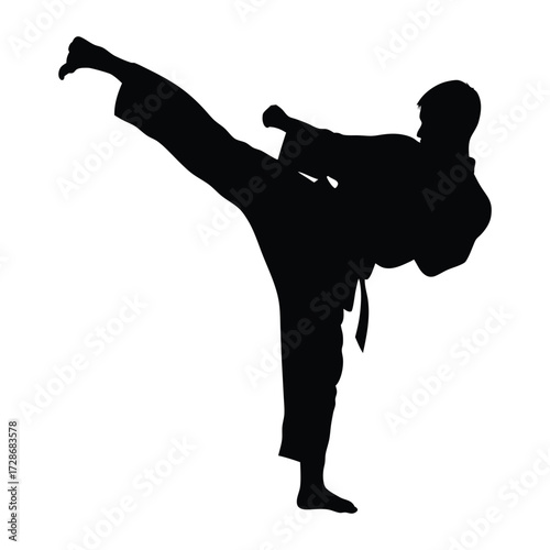 Silhouette of karate fighter performing side kick martial arts training self defense pose action 90