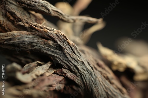 Du zhong, eucommia bark
