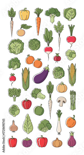 A vibrant collection of fresh and diverse vegetables arranged in a visually appealing pattern.