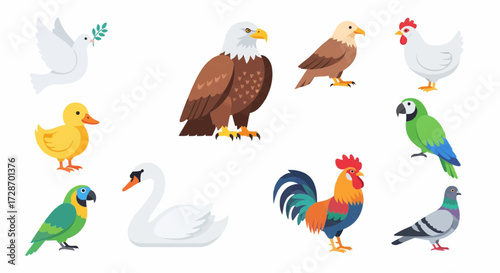 Vibrant collection of diverse flat design bird illustrations, featuring popular avian species such as eagles, doves, ducks, macaws, chickens, and swans, suitable for various creative projects