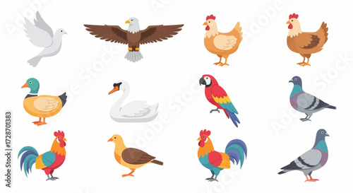 Collection of colorful and diverse birds, including a dove, eagle, chickens, duck, swan, parrot, and pigeons, depicted in a lively illustration style