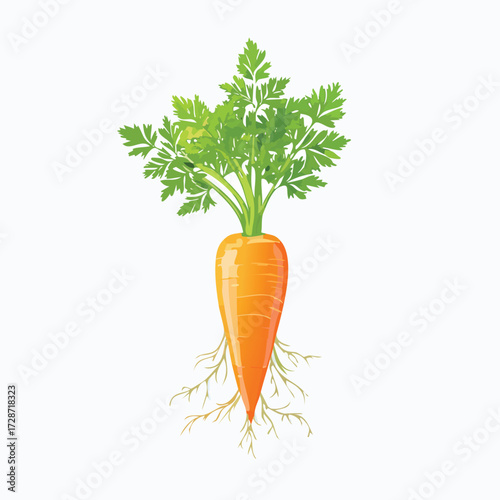 A single, ripe orange carrot with green leaves. An isolated vector illustration for healthy food, vegetables, and diet concepts. Generative AI