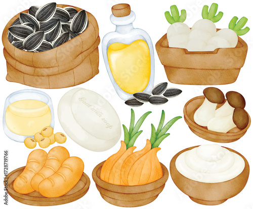 Watercolor Farm Produce Set Sunflower Seeds Sunflower Oil Soybean Tofu Radish Carrot Ginger Mushroom Yogurt Illustration
