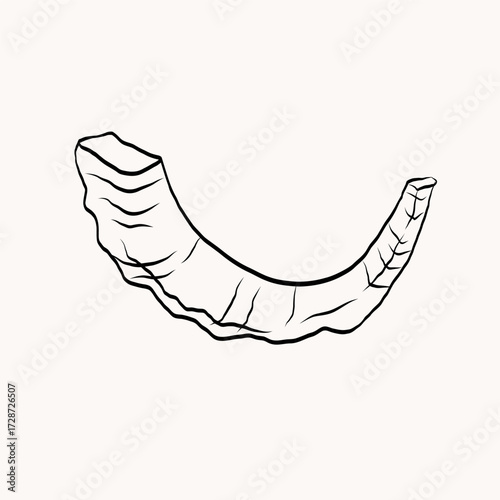 Jewish shofar sketch on isolated background. Jewish musical symbol for religious ceremony. Judaism festive element. Faith Israel. Vector illustration. For holiday, event, invitation, design, flyer 
